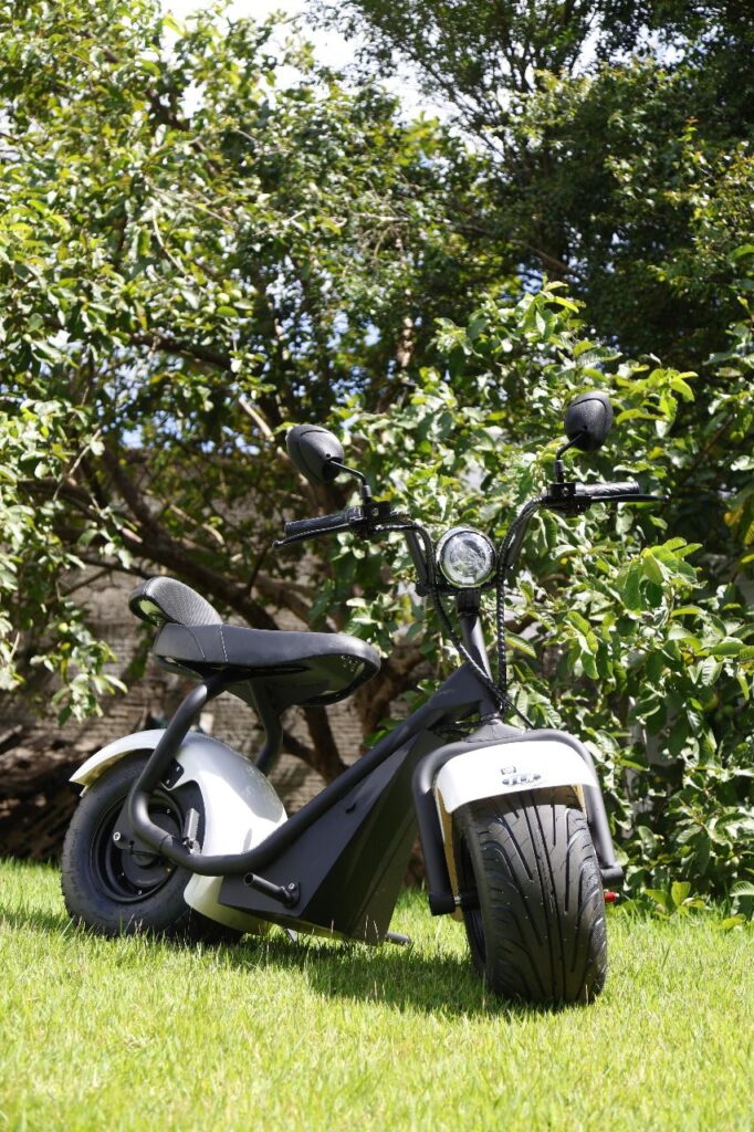 SCOOTER ELÉTRICA ESTILO HARLEY